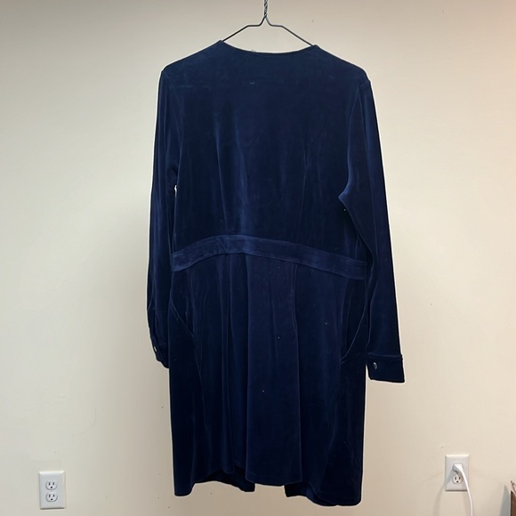 Blue Velvet & Other Stories Dress - Picture 2 of 5